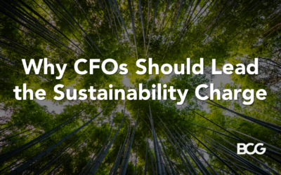 Why CFOs Should Lead the Sustainability Charge